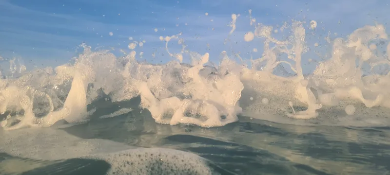 תיאור תמונה 2