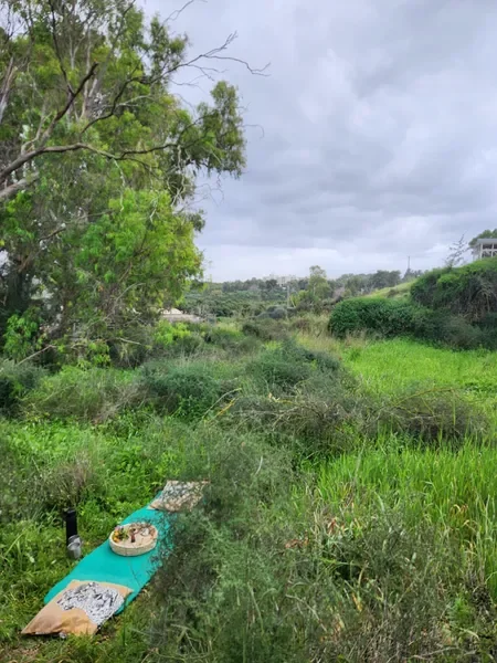 תיאור תמונה 1