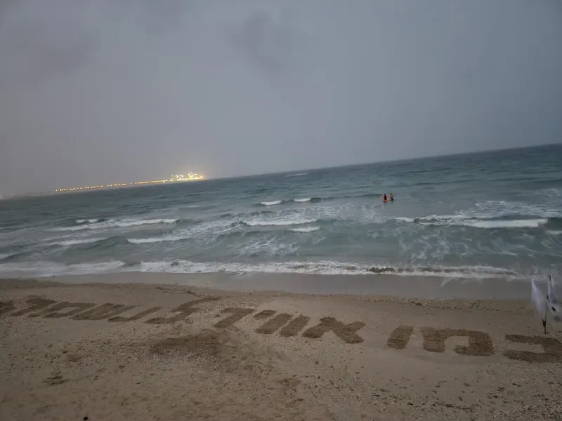 תיאור תמונה 2